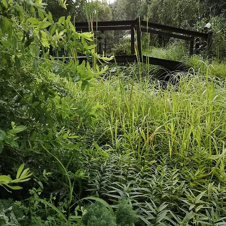 Parque de vacaciones Ranč Nová Zem *