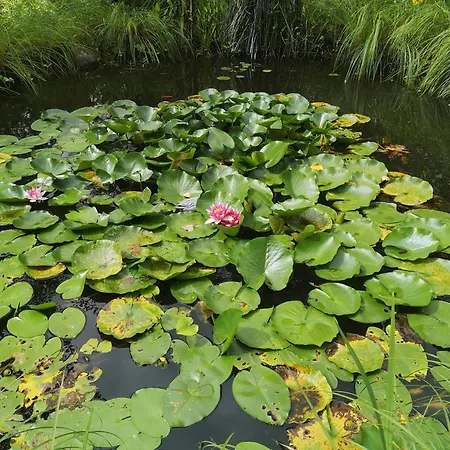 Parco vacanze Ranč Nová Zem