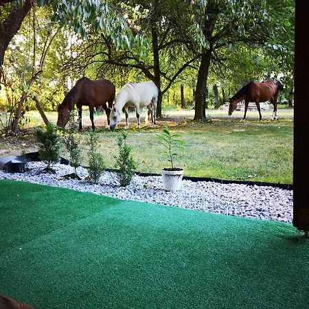 Ranc Nova Zem Dovolenkový park